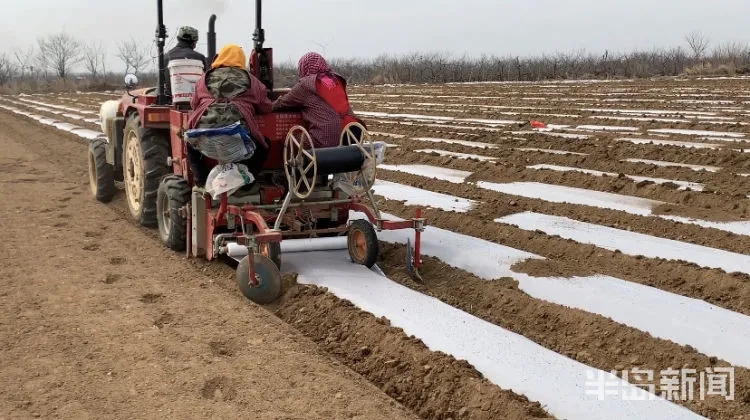 1616489779494176.jpg 640.webp.jpg