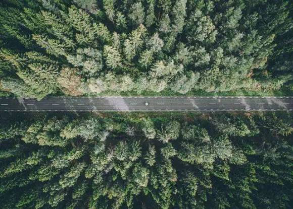 1621473460854869.jpg 3.jpg