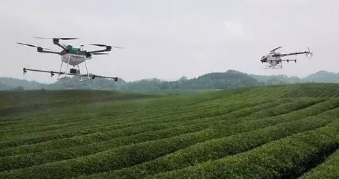 1629859199124120.jpg 1.jpg