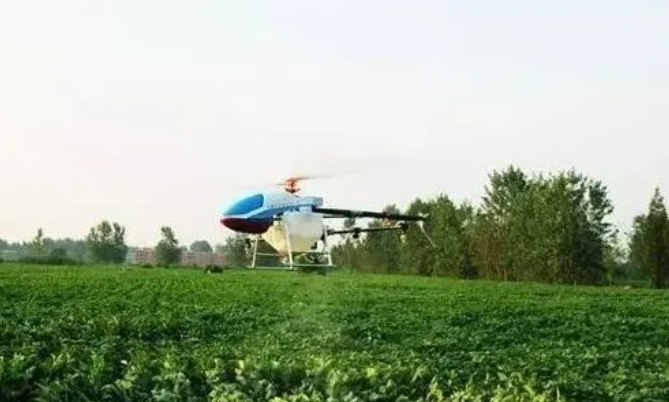 1629859222118526.jpg 3.jpg