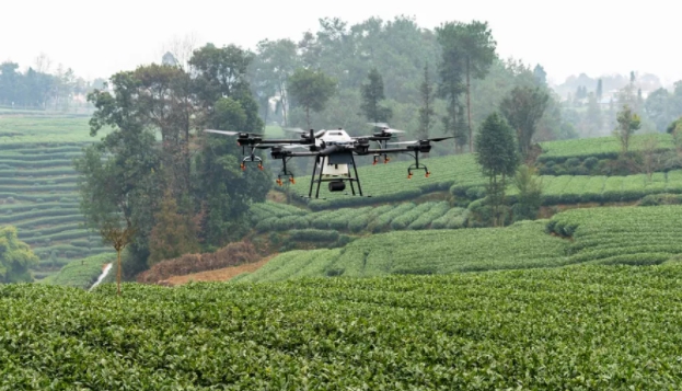 1629948552326482.jpg 2.jpg