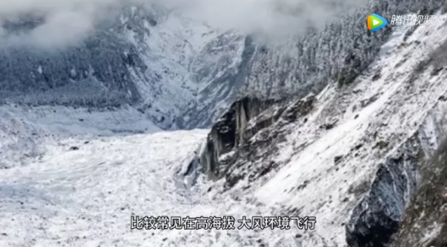 1630290542735972.jpg 5.jpg