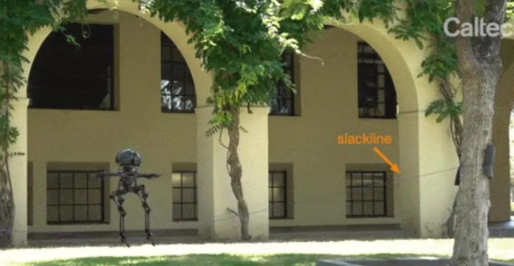 1634346866836365.jpg fb9f2e367f42b0ae03d6492678b534d2.jpg