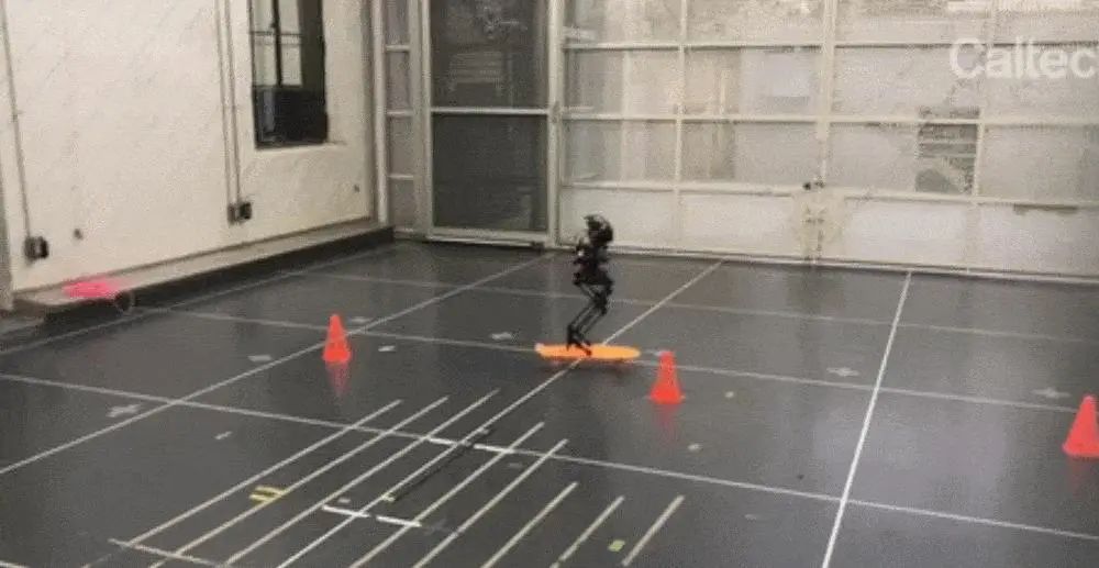 1634346922112592.jpg b6314d7a339641e61d3590bda2b2c12f.jpg